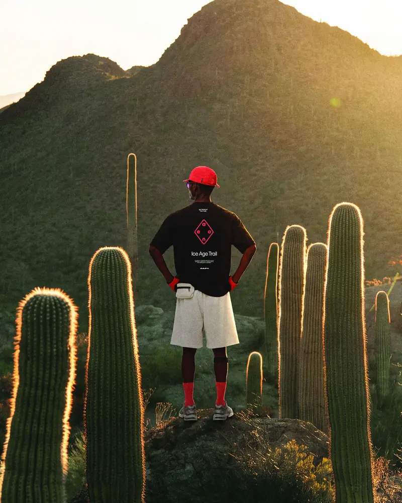 AEON® runner on a rock among saguaro cacti at sunset
